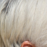 business portrait woman